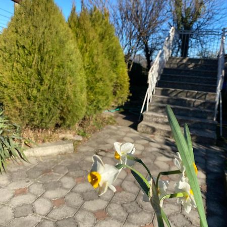 Guest House Nona Кутаїсі Екстер'єр фото